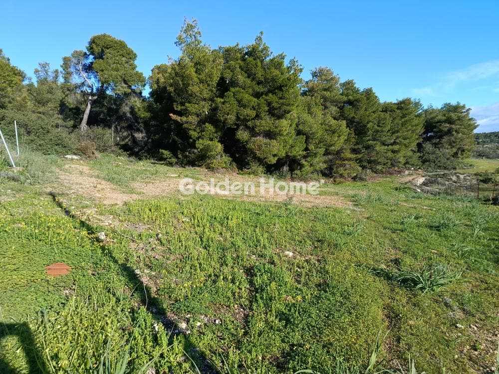 Building Plot in Mesagros, Aegina — Photo 2 of 2