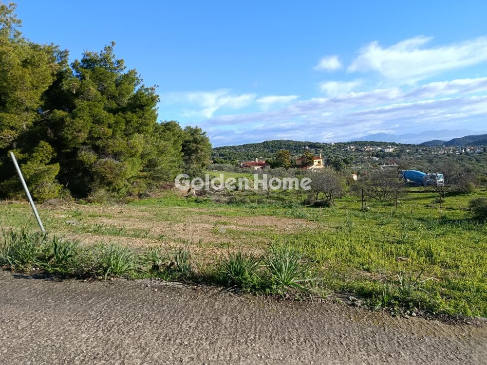 Building Plot in Mesagros, Aegina — Photo 1 of 2
