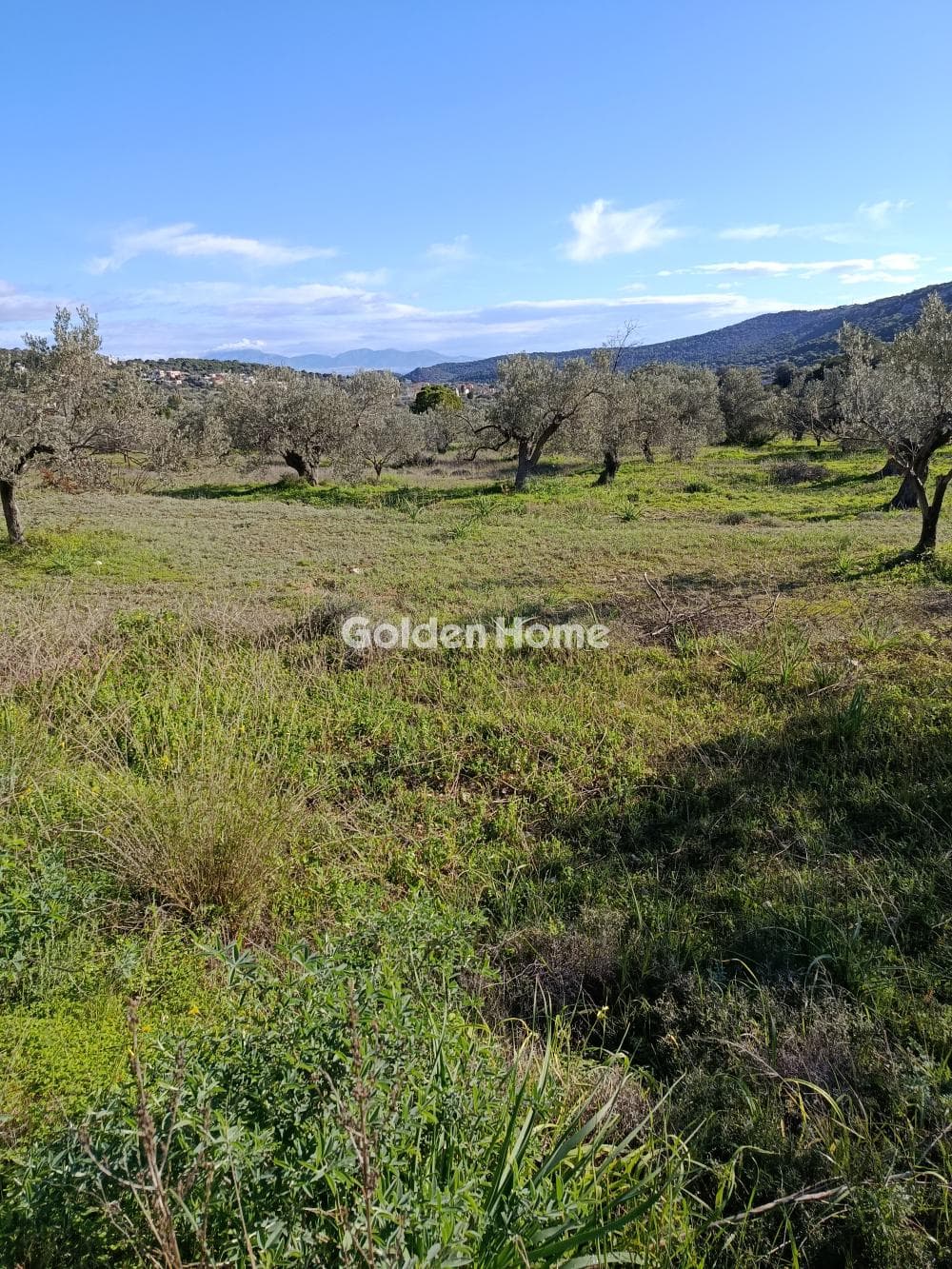 Οικόπεδο στην Μεσαγρός, Αίγινα — Φωτογραφία 1 από 3