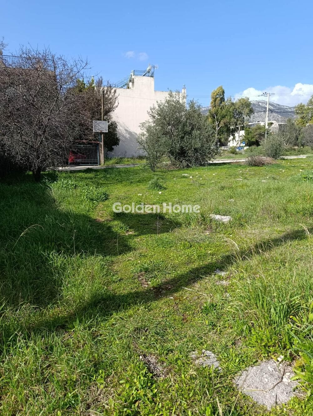Building Plot in Megala Sxoinia A, Acharnes — Photo 1 of 5