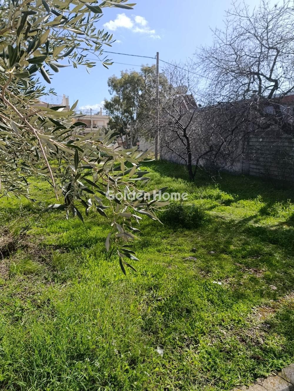 Building Plot in Megala Sxoinia A, Acharnes — Photo 4 of 5