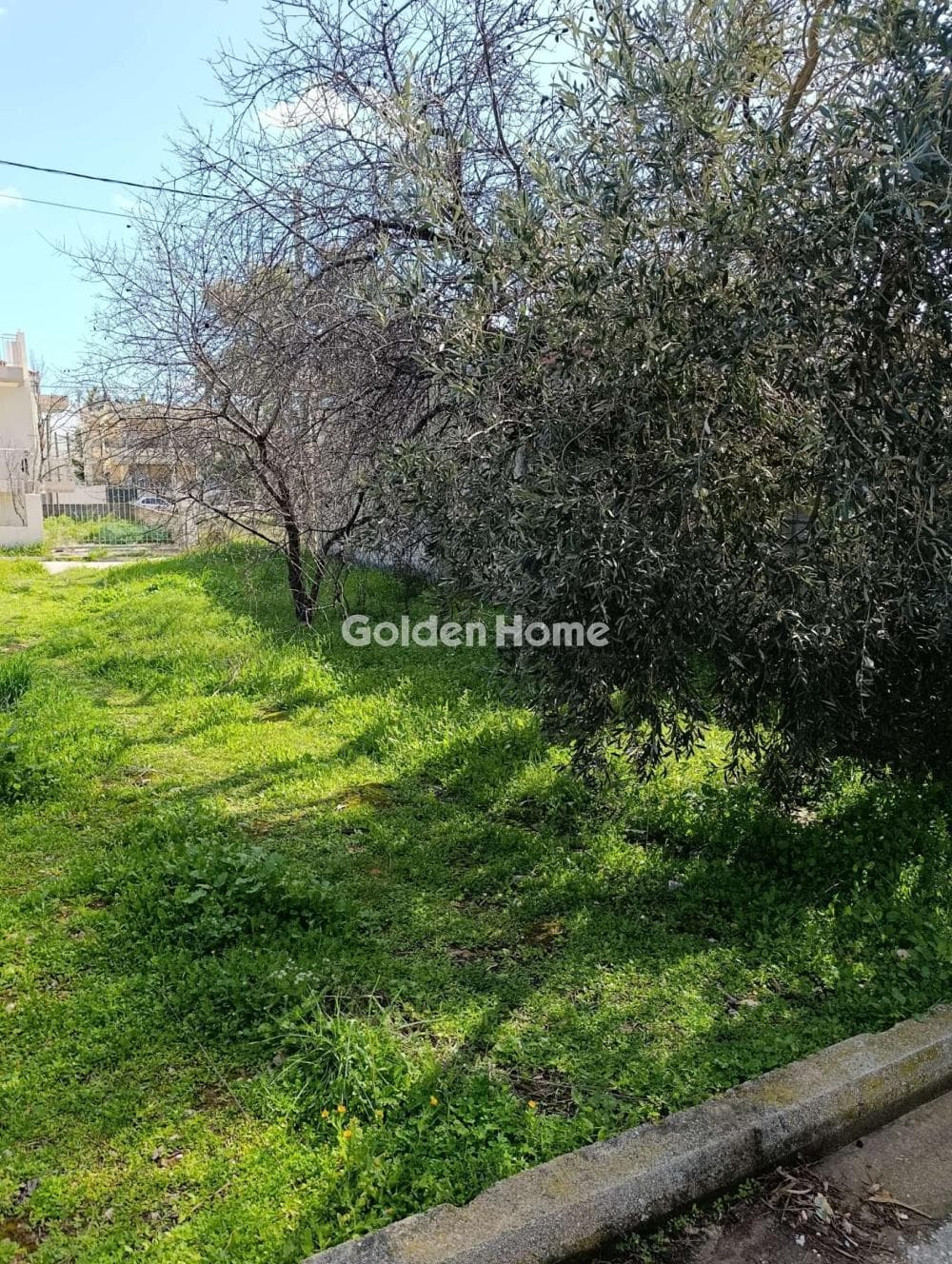 Building Plot in Megala Sxoinia A, Acharnes — Photo 3 of 5
