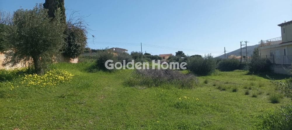 Parcel in Galazia akti, Kalivia Thorikou — Photo 5 of 27