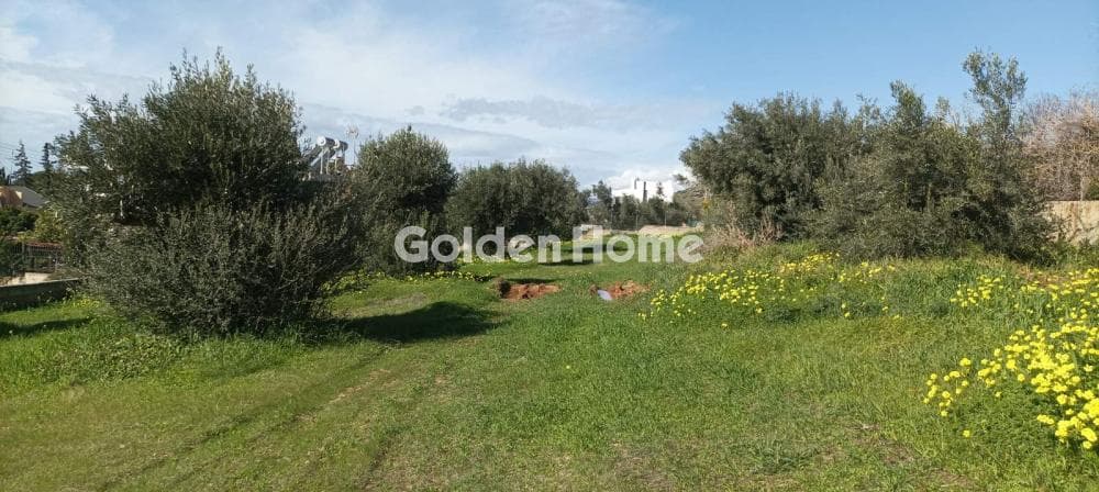 Parcel in Galazia akti, Kalivia Thorikou — Photo 4 of 27