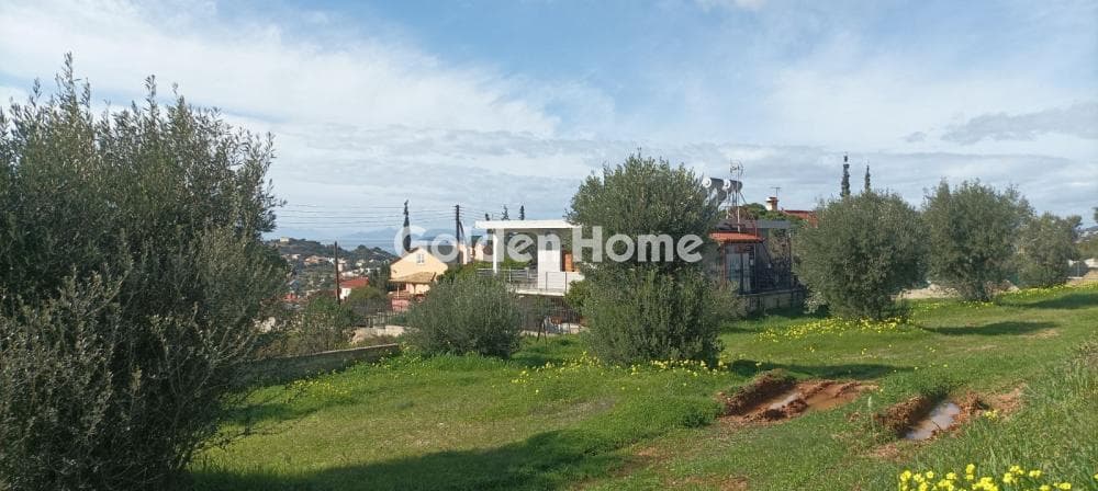 Parcel in Galazia akti, Kalivia Thorikou — Photo 8 of 27