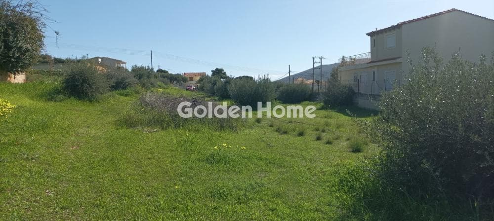 Parcel in Galazia akti, Kalivia Thorikou — Photo 9 of 27