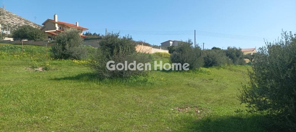 Parcel in Galazia akti, Kalivia Thorikou — Photo 11 of 27