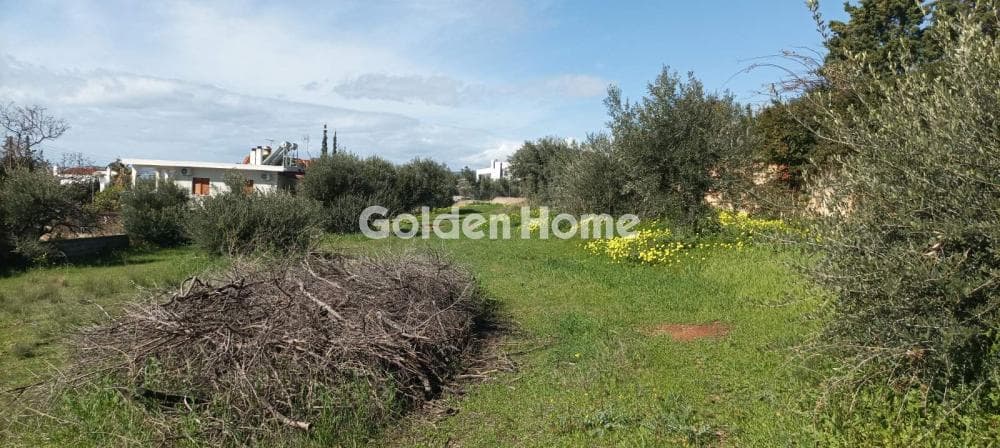 Parcel in Galazia akti, Kalivia Thorikou — Photo 15 of 27