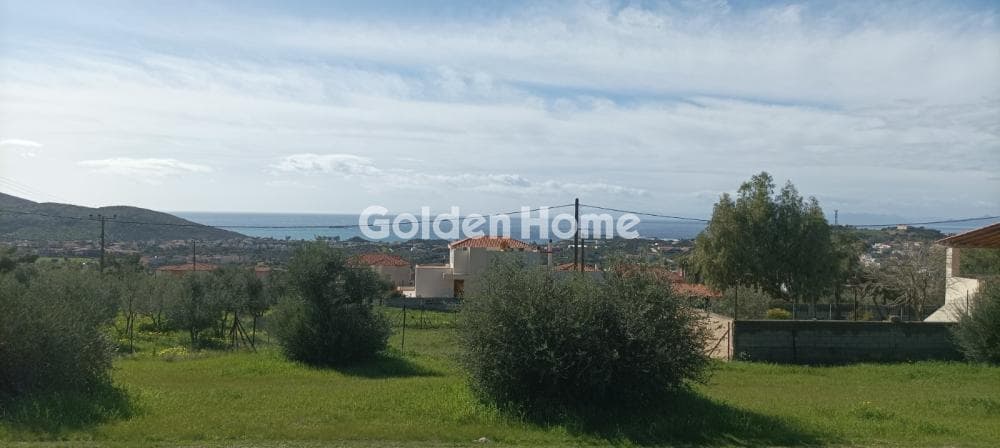 Parcel in Galazia akti, Kalivia Thorikou — Photo 24 of 27