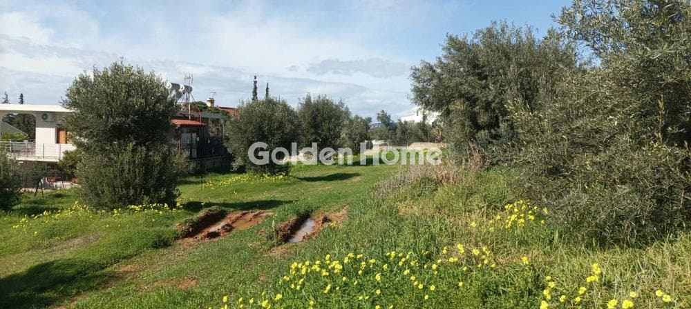 Parcel in Galazia akti, Kalivia Thorikou — Photo 23 of 27