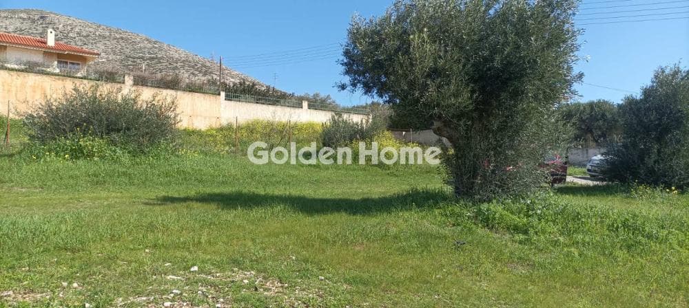 Parcel in Galazia akti, Kalivia Thorikou — Photo 22 of 27