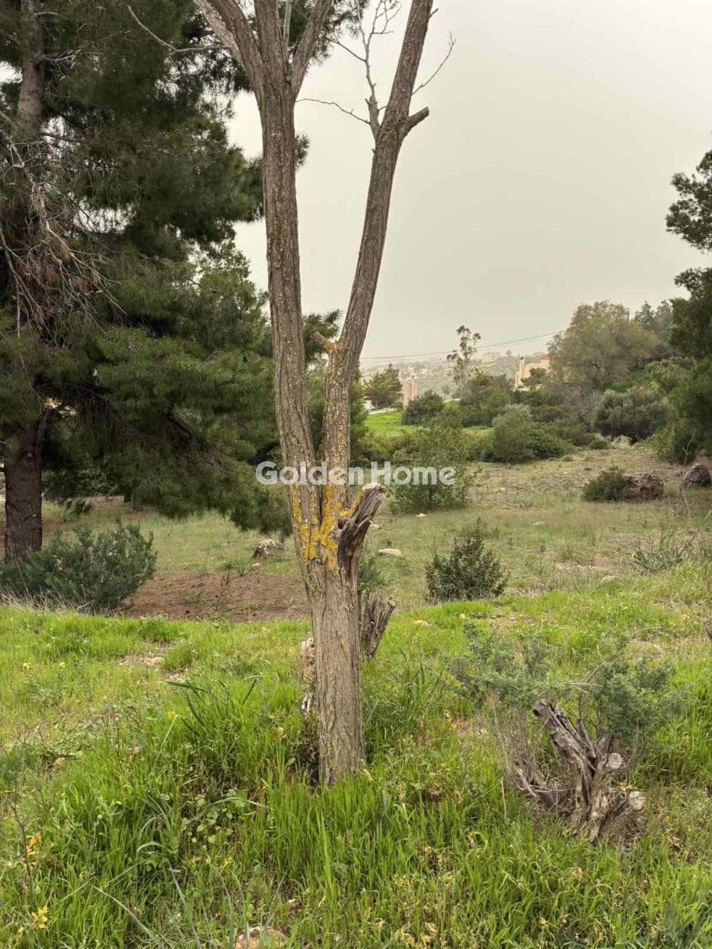 Οικόπεδο στην Ντράφι, Πικέρμι — Φωτογραφία 3 από 8