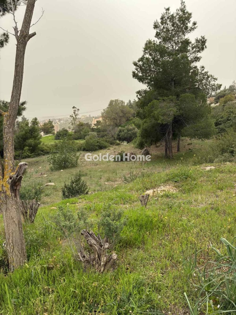 Οικόπεδο στην Νέα Παλλήνη, Παλλήνη — Φωτογραφία 2 από 8