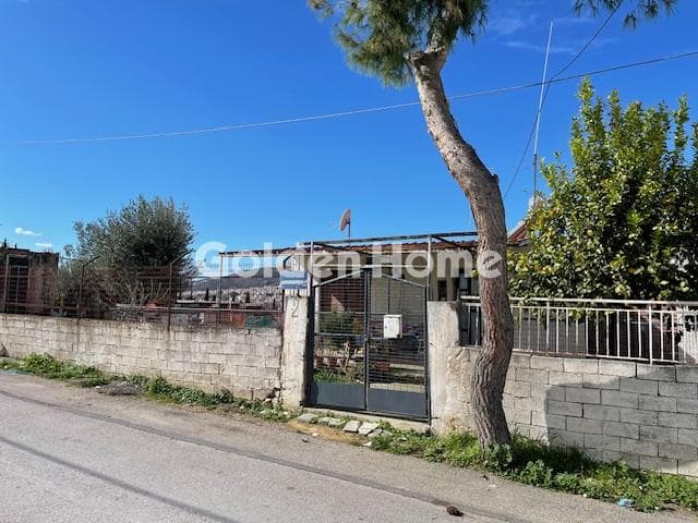 Οικόπεδο στην Πυργούθι, Αχαρνές — Φωτογραφία 4 από 5