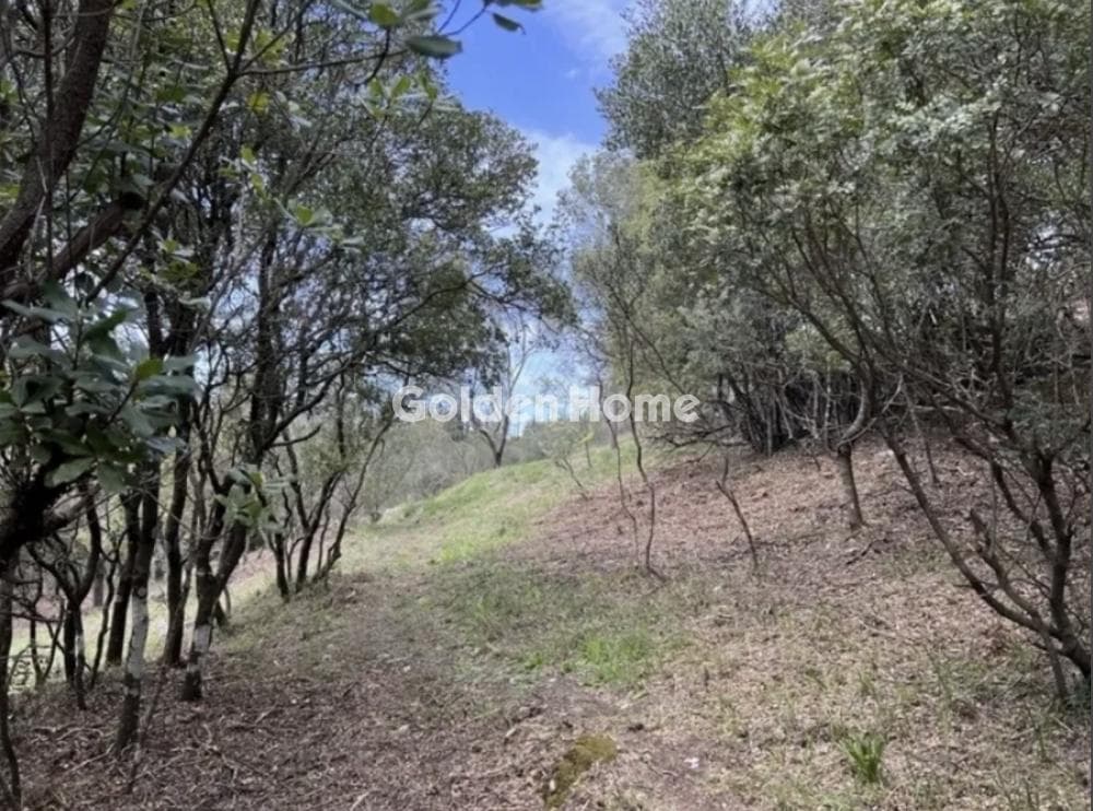 Οικόπεδο στην Άγιος Γεώργιος, Κέρκυρα — Φωτογραφία 5 από 19