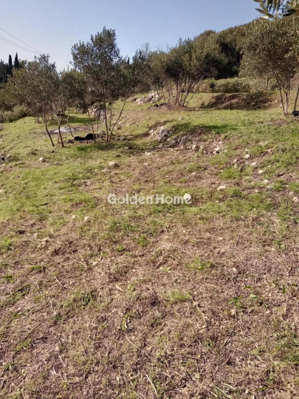 Οικόπεδο στην Άγιος Γεώργιος, Κέρκυρα — Φωτογραφία 8 από 19