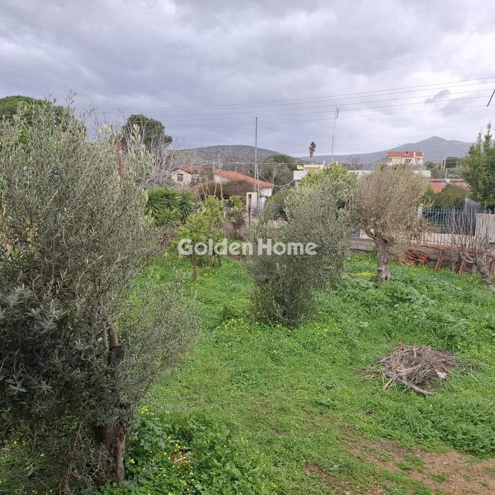 House in Center, Koropi — Photo 14 of 22
