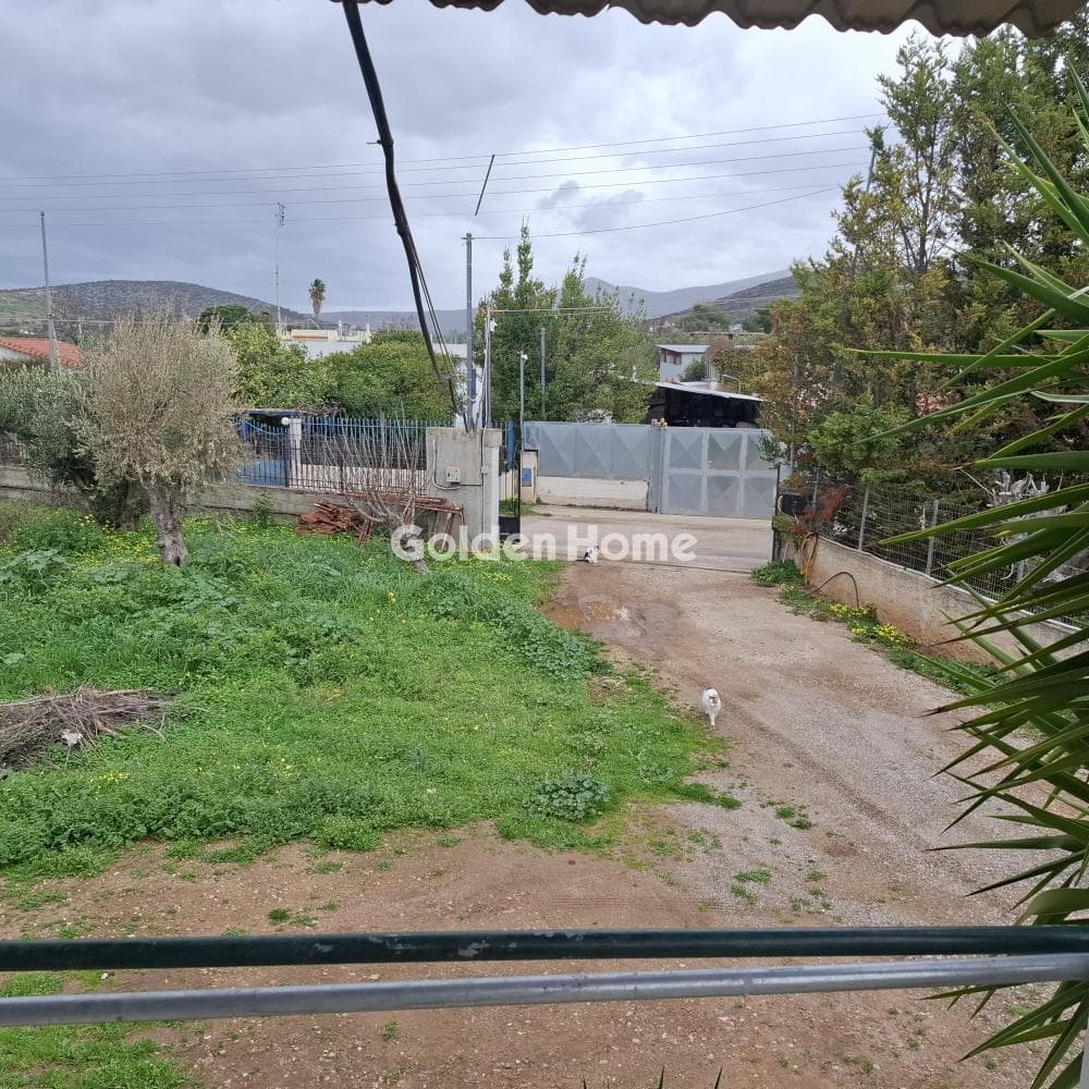 House in Center, Koropi — Photo 16 of 22