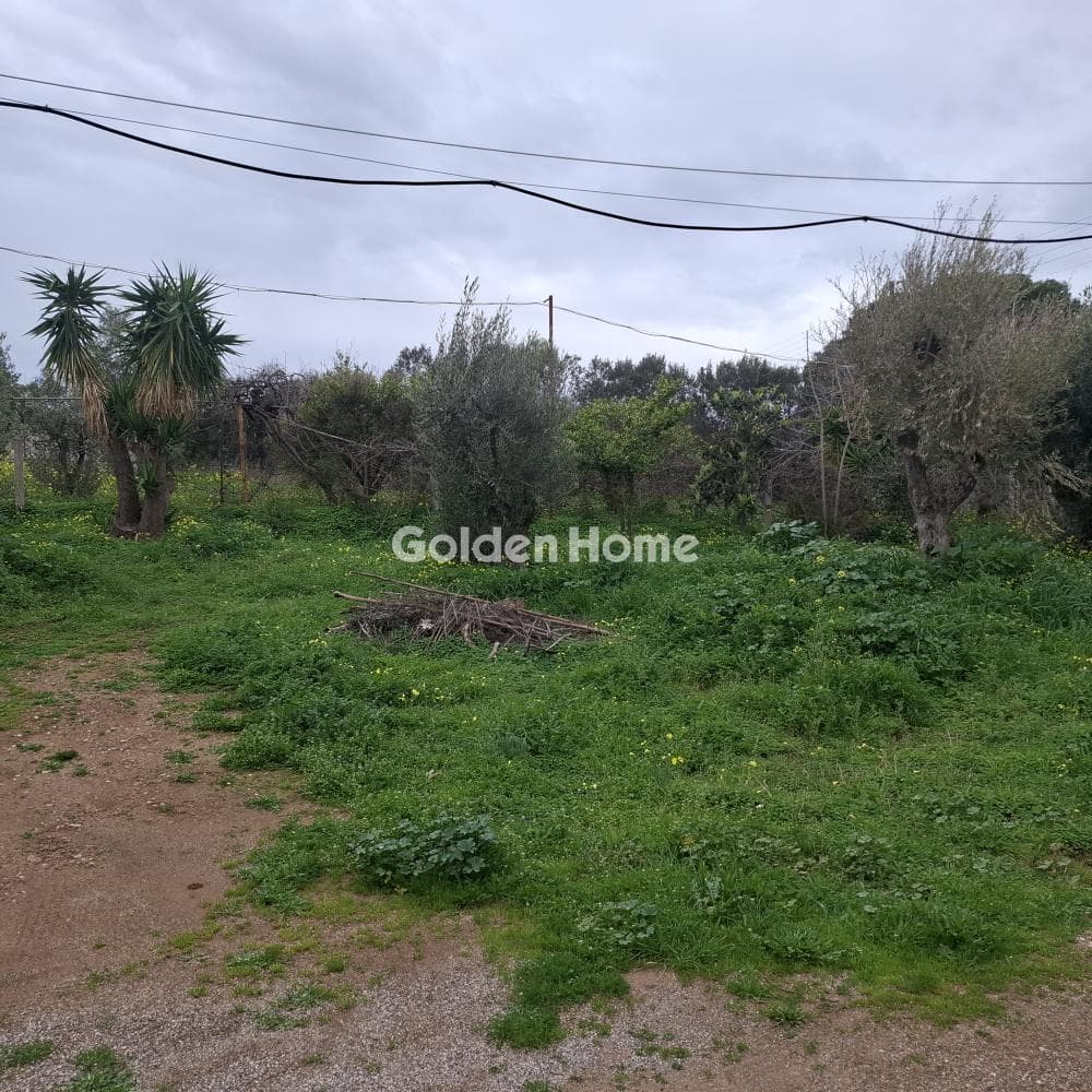 House in Center, Koropi — Photo 20 of 22