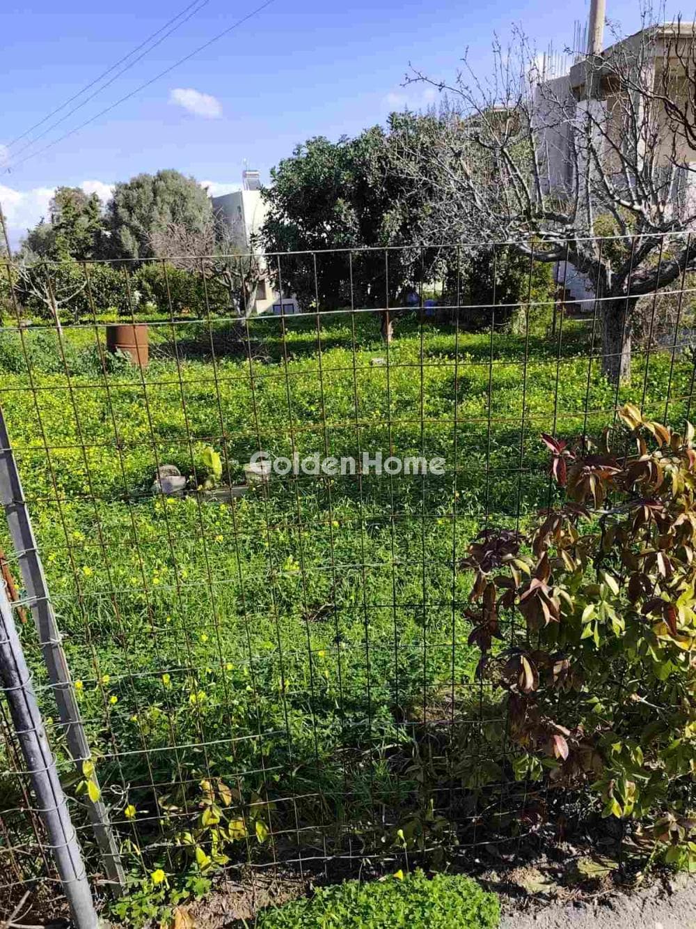 Οικόπεδο στην Κάτω Καλέσια, Τέμενος