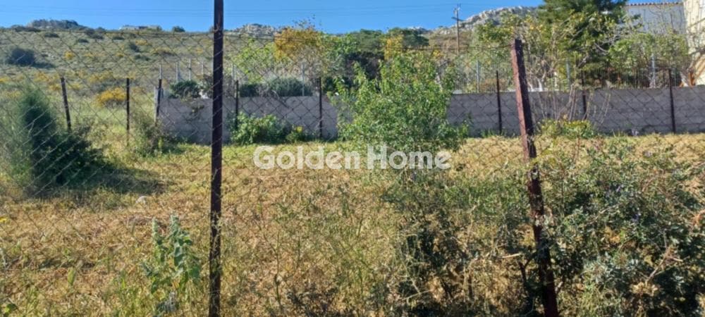 Αγροτεμάχιο στην Ψιλή Άμμος, Σαλαμίνα — Φωτογραφία 1 από 5