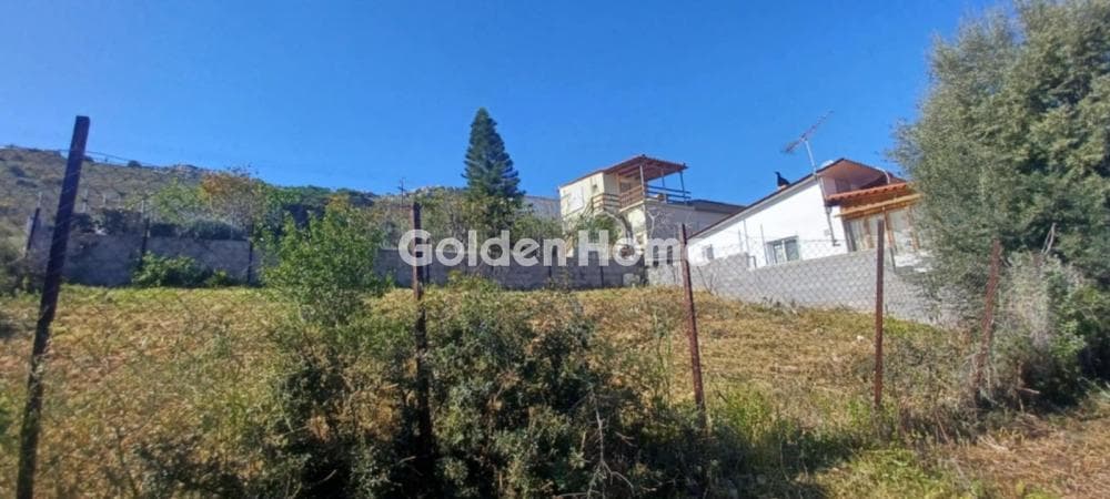 Αγροτεμάχιο στην Ψιλή Άμμος, Σαλαμίνα — Φωτογραφία 3 από 5