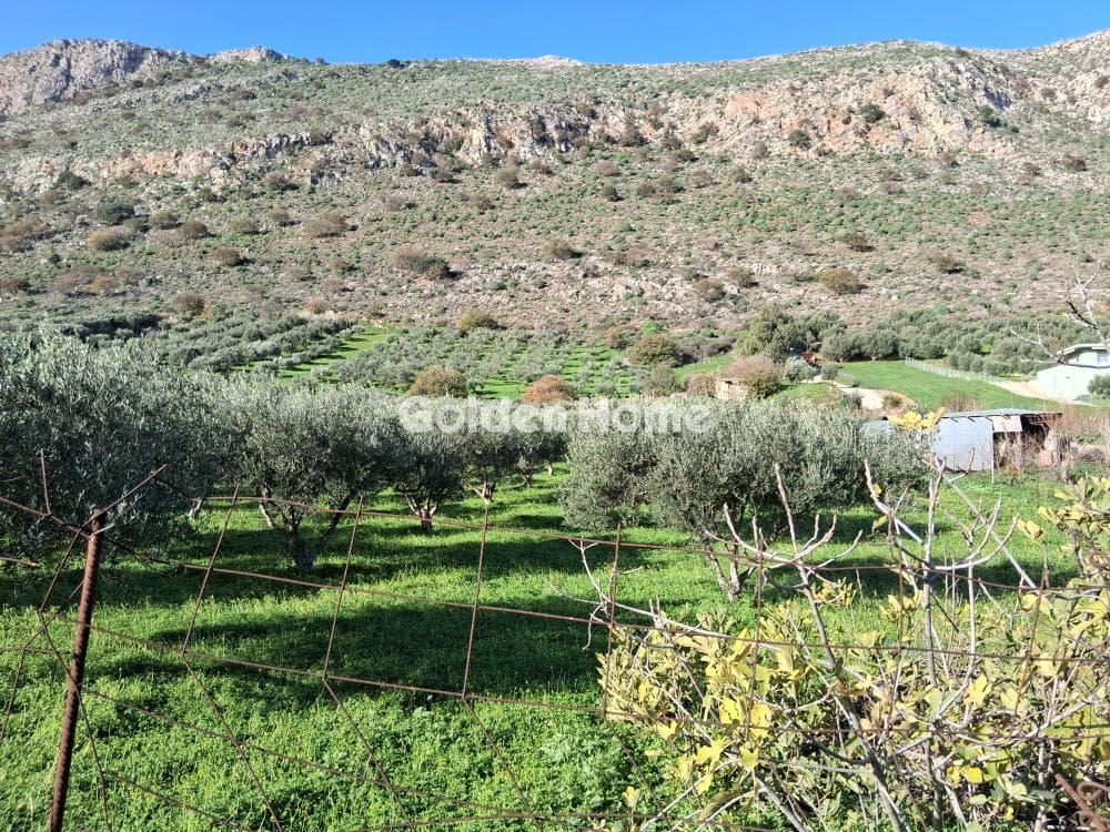 Αγροτεμάχιο στην Σκαφιδαράς, Γάζι