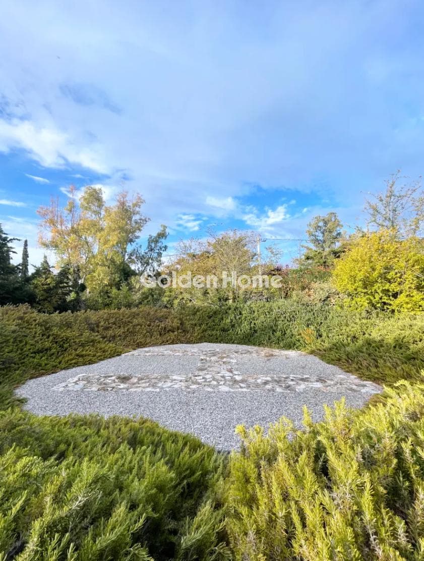 House in Panorama, Rafina — Photo 14 of 14
