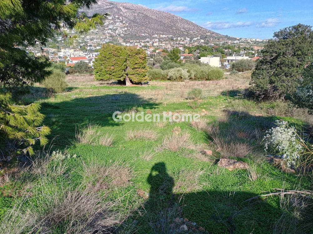 Αγροτεμάχιο στην Άγιος Νικόλαος, Ανάβυσσος — Φωτογραφία 16 από 52