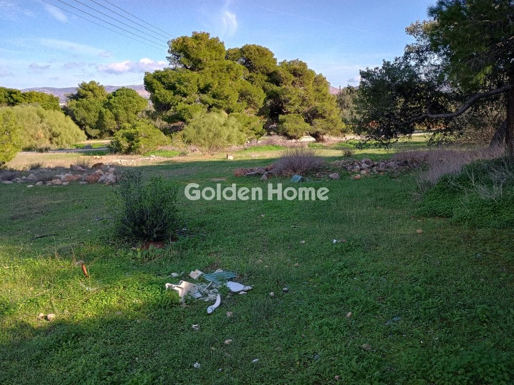 Αγροτεμάχιο στην Άγιος Νικόλαος, Ανάβυσσος — Φωτογραφία 19 από 52