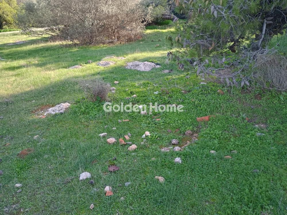 Αγροτεμάχιο στην Άγιος Νικόλαος, Ανάβυσσος — Φωτογραφία 20 από 52