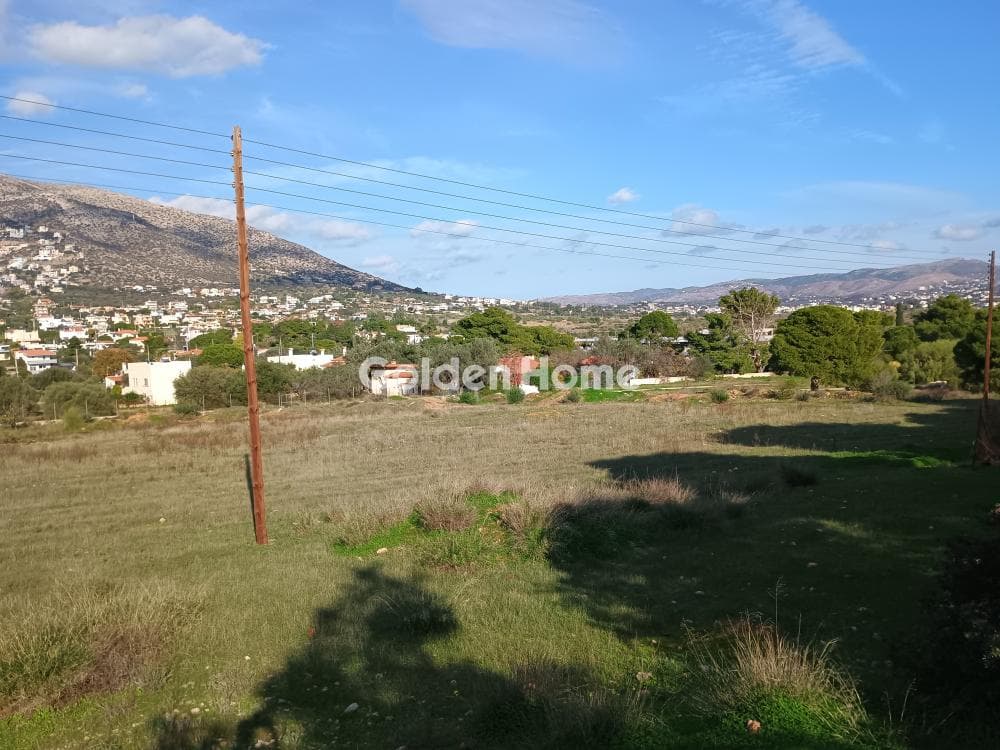 Αγροτεμάχιο στην Άγιος Νικόλαος, Ανάβυσσος — Φωτογραφία 28 από 52