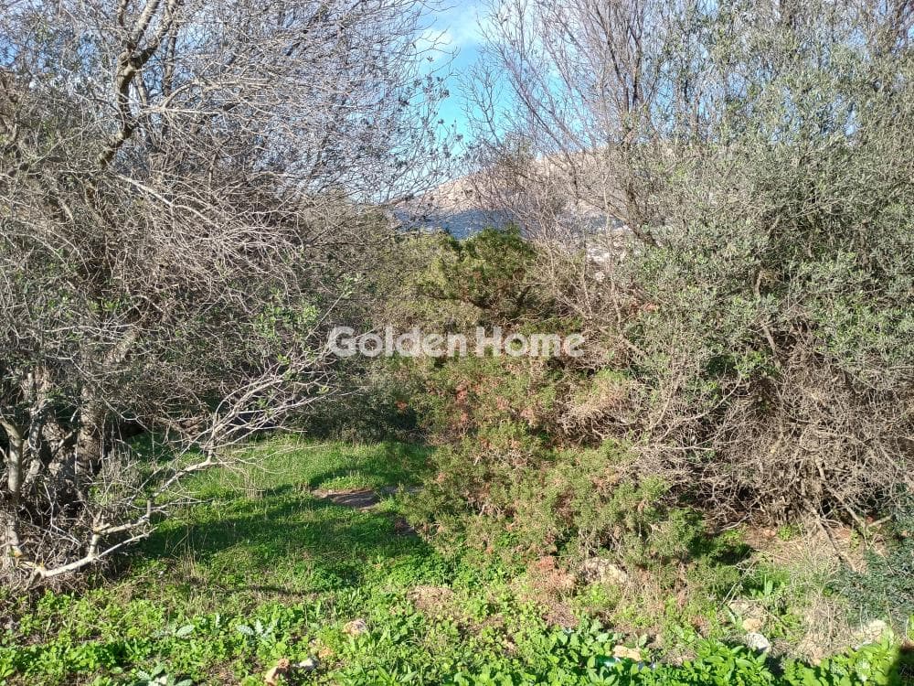 Αγροτεμάχιο στην Άγιος Νικόλαος, Ανάβυσσος — Φωτογραφία 32 από 52