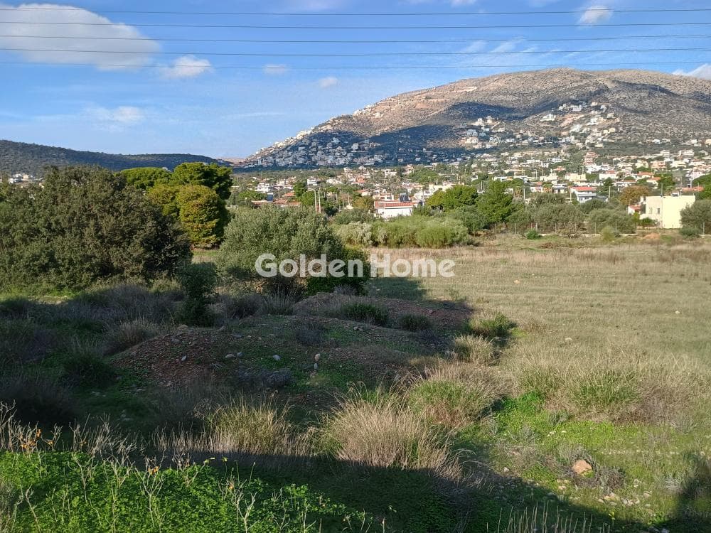 Αγροτεμάχιο στην Άγιος Νικόλαος, Ανάβυσσος — Φωτογραφία 33 από 52