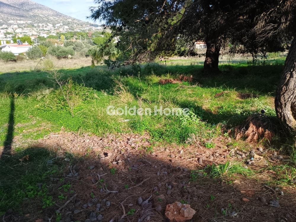 Αγροτεμάχιο στην Άγιος Νικόλαος, Ανάβυσσος — Φωτογραφία 37 από 52