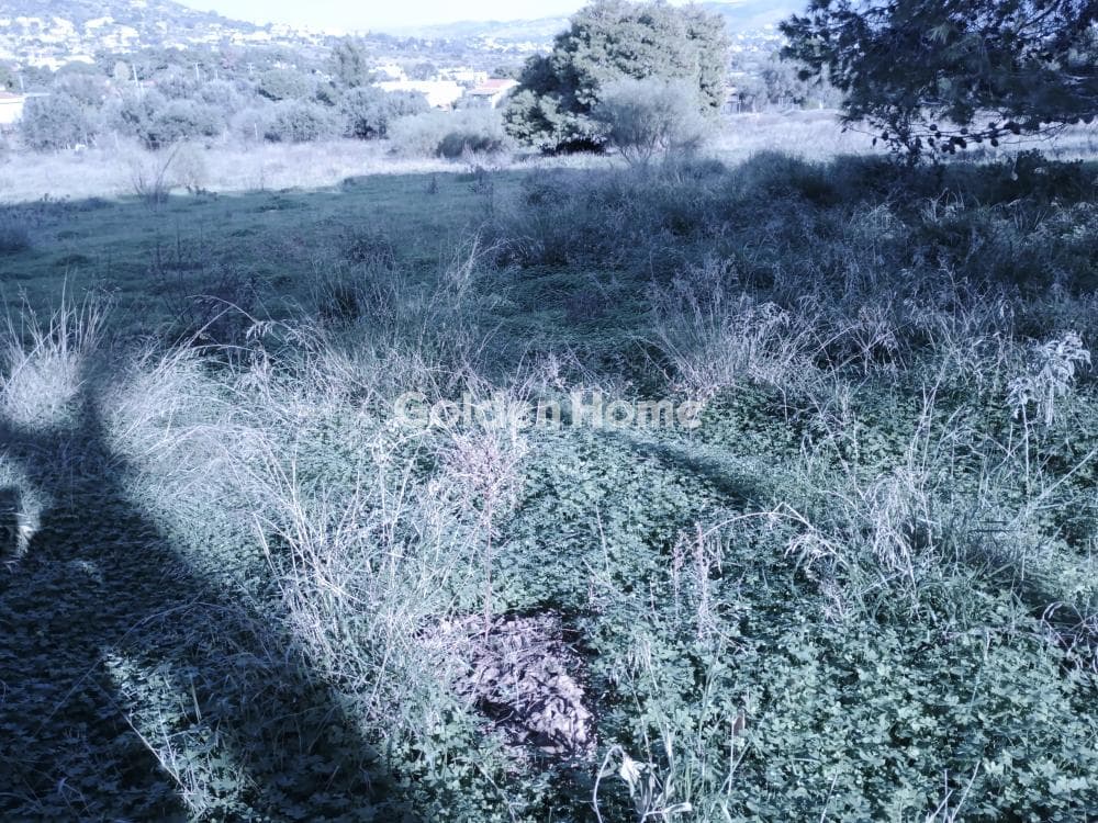 Αγροτεμάχιο στην Άγιος Νικόλαος, Ανάβυσσος — Φωτογραφία 38 από 52