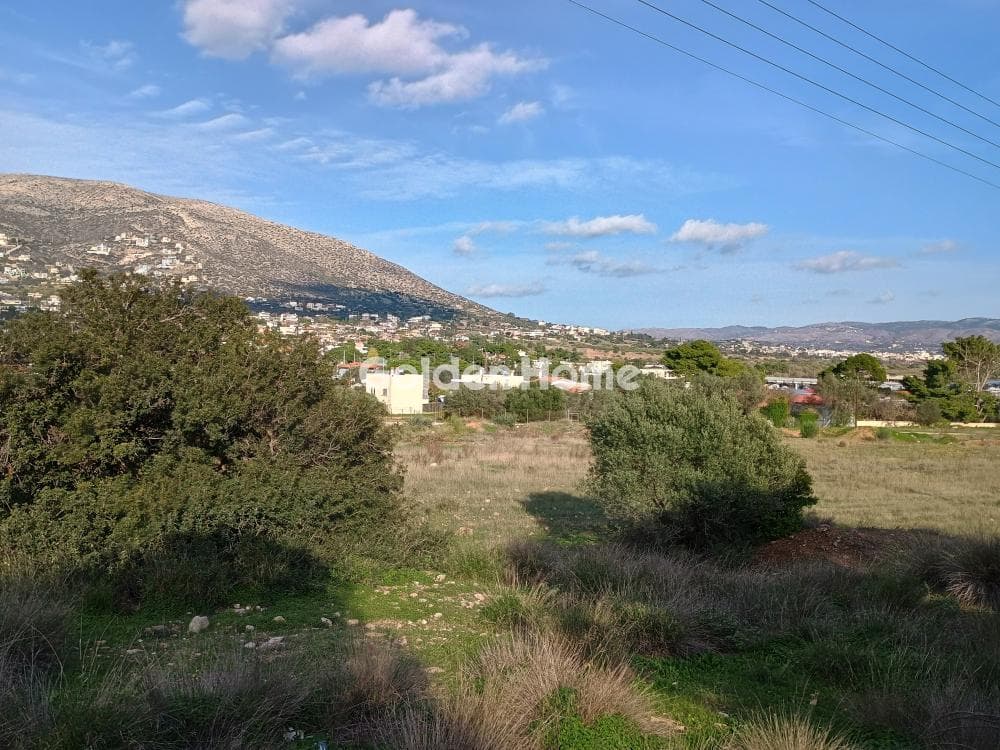 Αγροτεμάχιο στην Άγιος Νικόλαος, Ανάβυσσος — Φωτογραφία 43 από 52