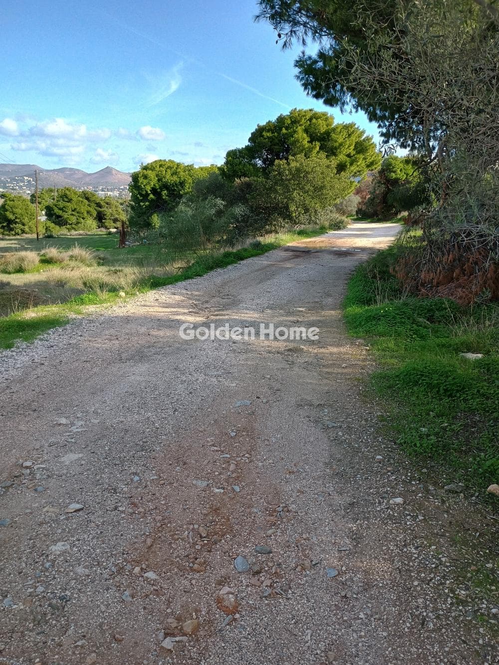 Αγροτεμάχιο στην Άγιος Νικόλαος, Ανάβυσσος — Φωτογραφία 44 από 52