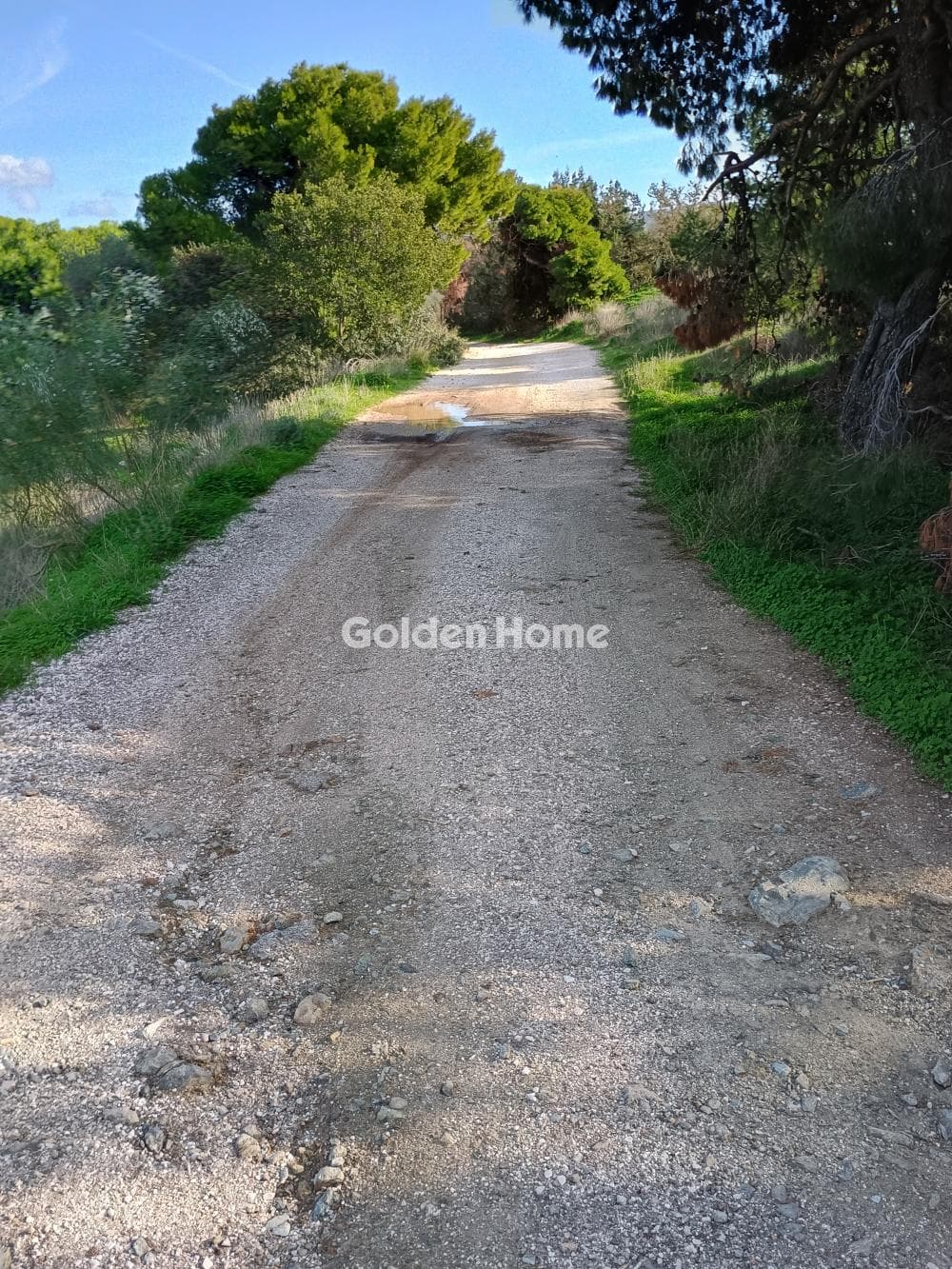 Αγροτεμάχιο στην Άγιος Νικόλαος, Ανάβυσσος — Φωτογραφία 45 από 52