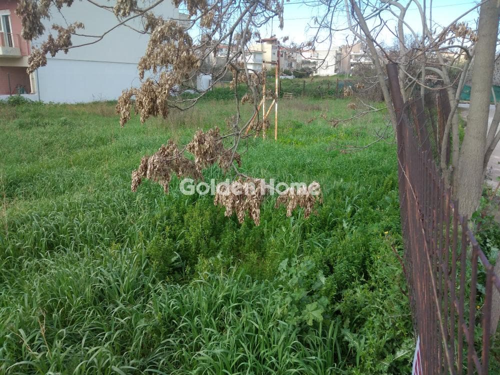 Οικόπεδο στην Πυργούθι, Αχαρνές — Φωτογραφία 3 από 12