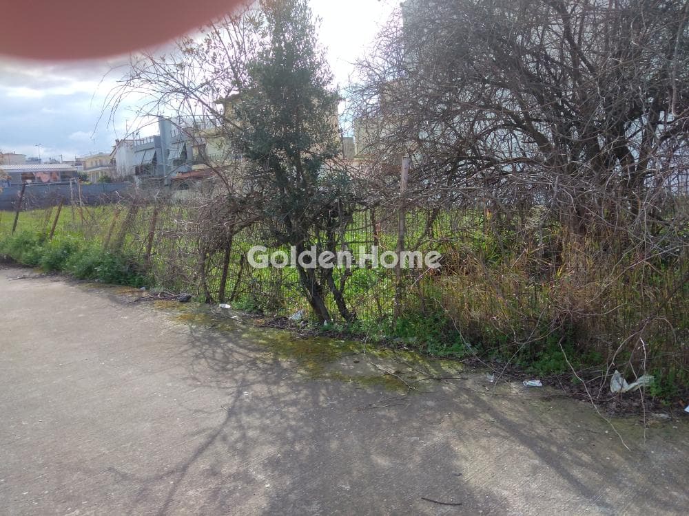 Οικόπεδο στην Πυργούθι, Αχαρνές — Φωτογραφία 12 από 12