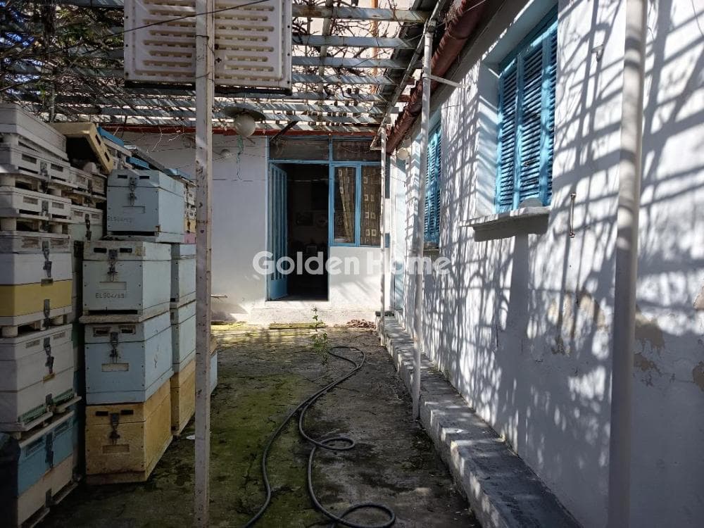 Μονοκατοικία στην Ελαιώνας, Χαϊδάρι — Φωτογραφία 4 από 10