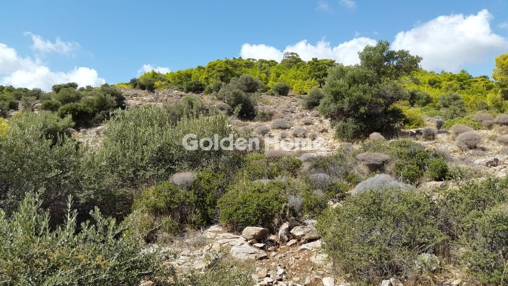 Αγροτεμάχιο στην Κέντρο, Λαύριο — Φωτογραφία 4 από 7