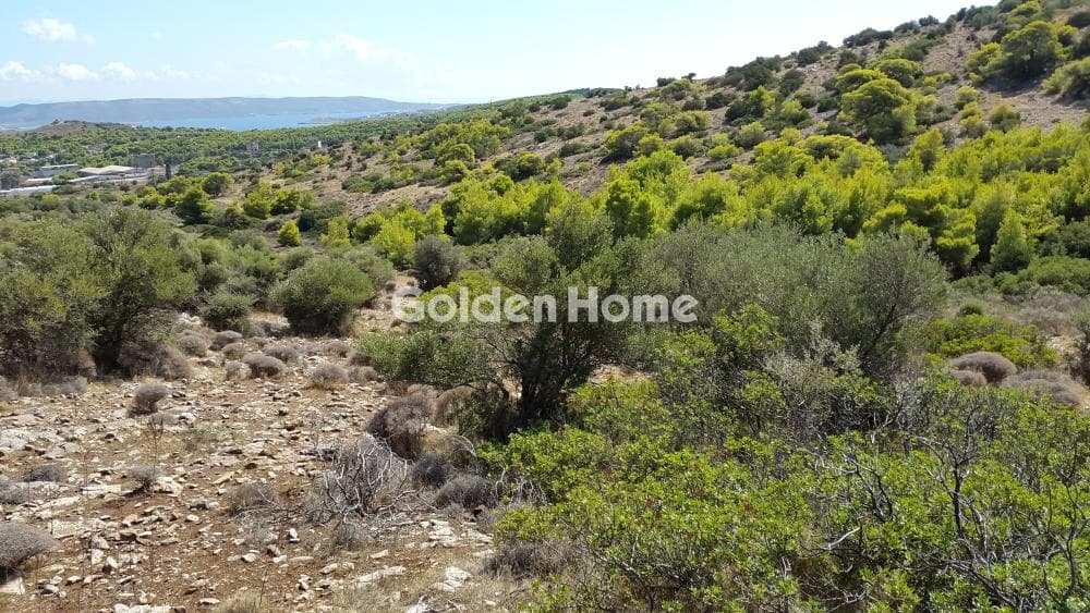 Αγροτεμάχιο στην Κέντρο, Λαύριο — Φωτογραφία 5 από 7