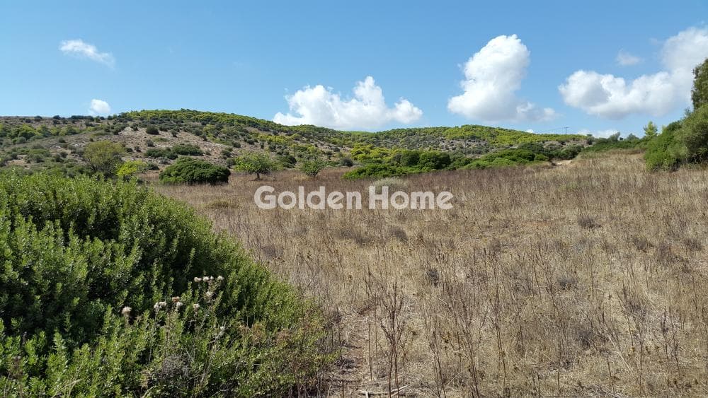 Αγροτεμάχιο στην Άνω Θορικό, Λαύριο — Φωτογραφία 2 από 6