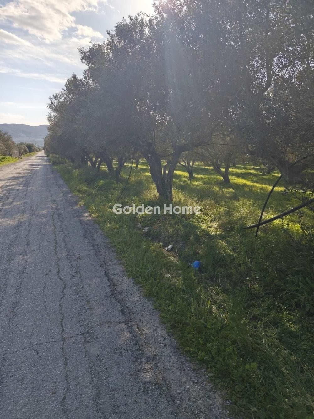 Parcel in Kappariana, Moires — Photo 8 of 10