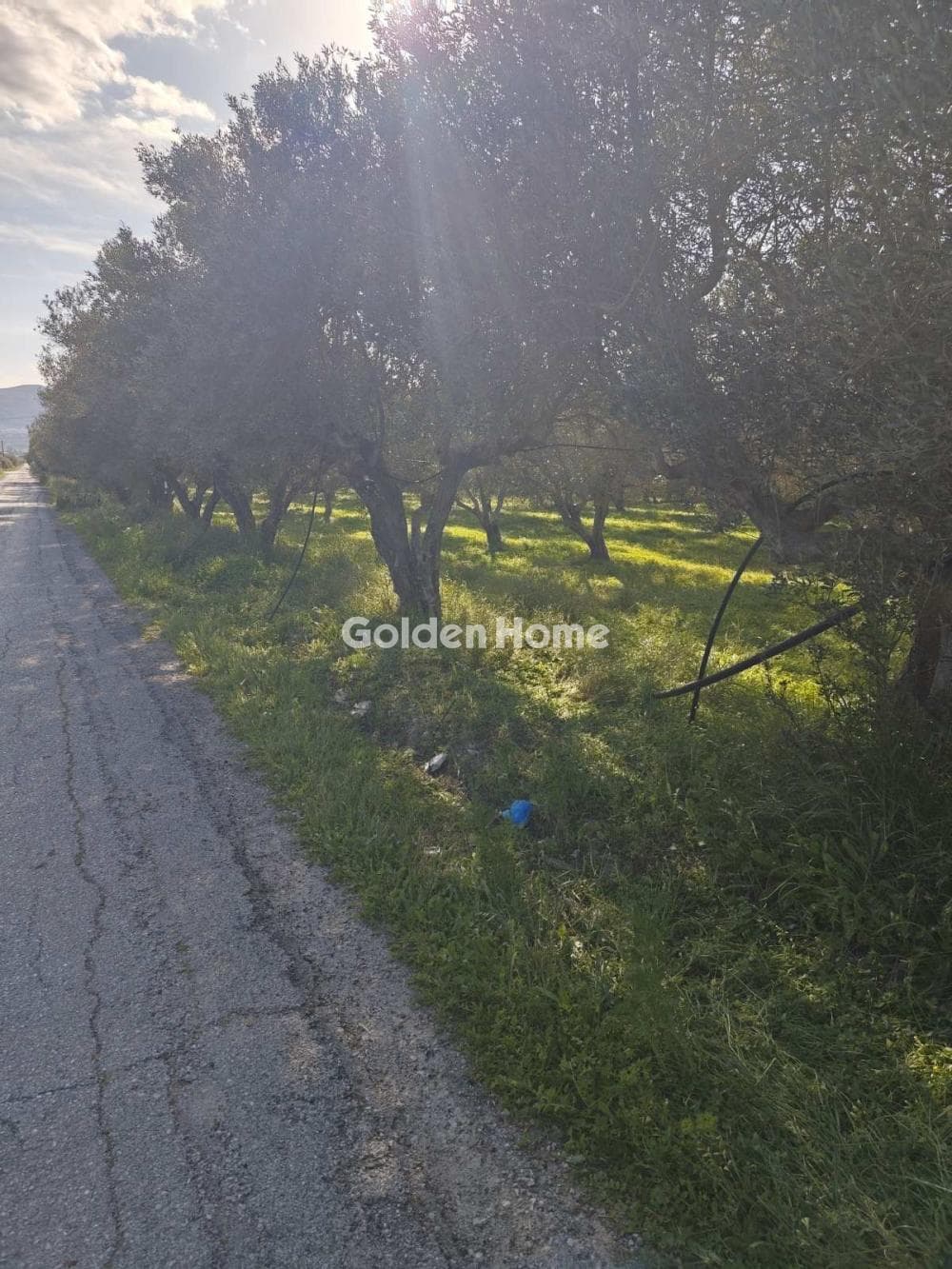 Parcel in Kappariana, Moires — Photo 7 of 10