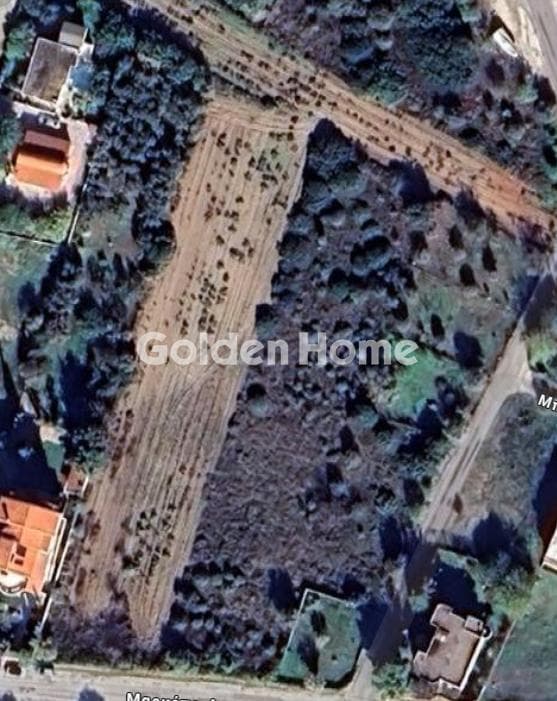 Parcel in Limni Markopoulou, Markopoulo