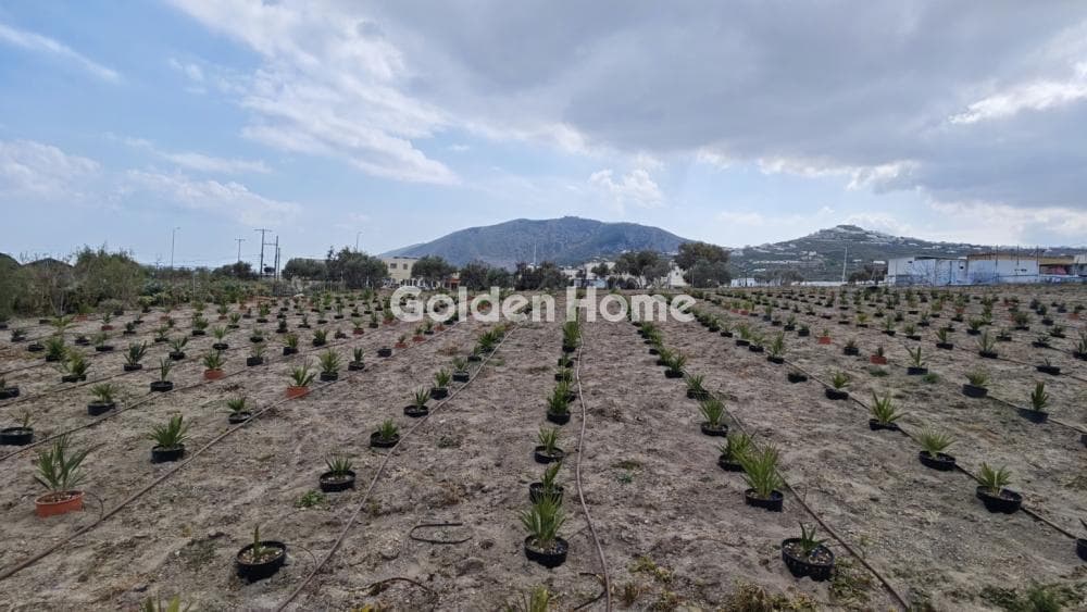 Building Plot in Thira, Santorini — Photo 5 of 6