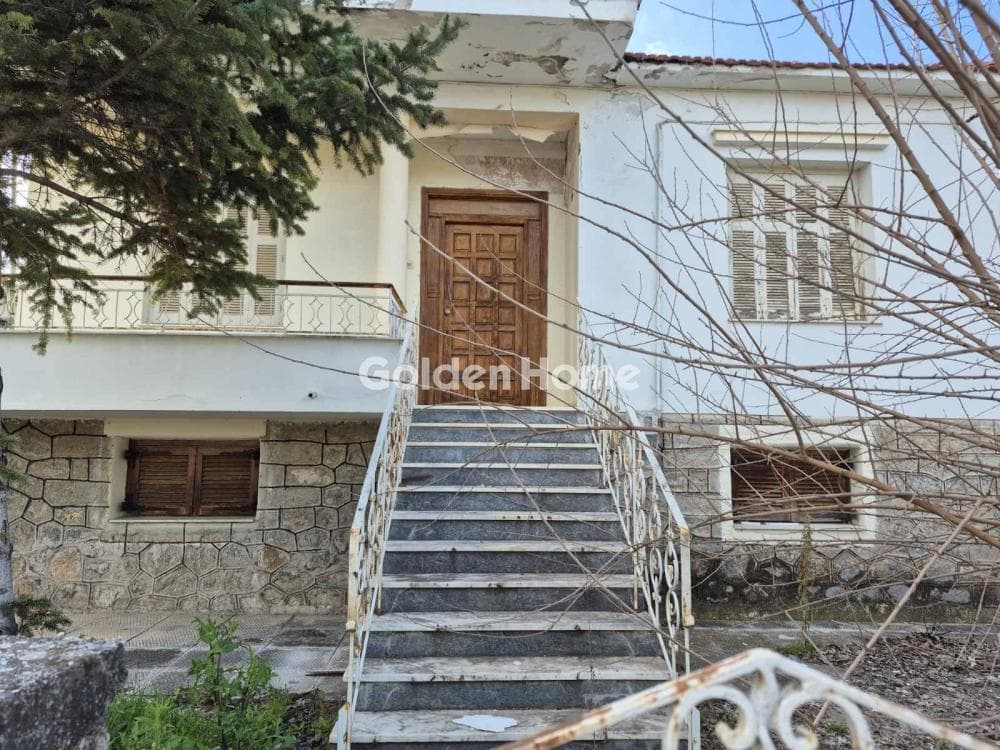 Μονοκατοικία στην Άγιος Δημήτριος, Ορχομενός — Φωτογραφία 3 από 16